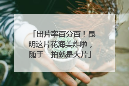 出片率百分百！昆明这片花海美炸啦，随手一拍就是大片