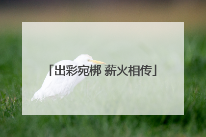 出彩宛梆 薪火相传