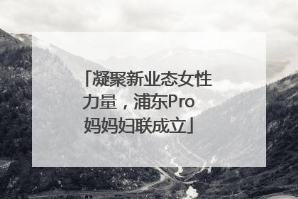 凝聚新业态女性力量，浦东Pro妈妈妇联成立