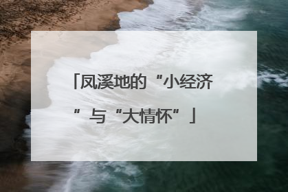 凤溪地的“小经济”与“大情怀”