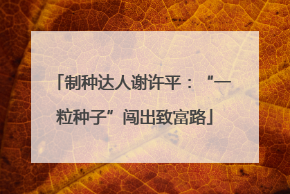 制种达人谢许平：“一粒种子”闯出致富路