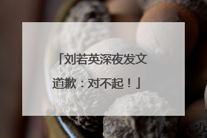 刘若英深夜发文道歉：对不起！