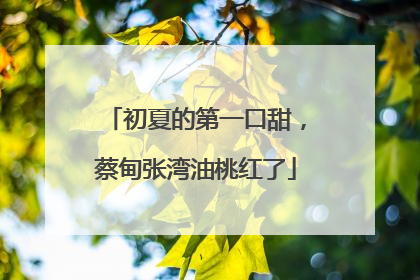 初夏的第一口甜，蔡甸张湾油桃红了