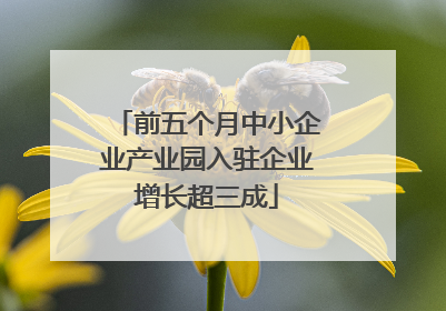 前五个月中小企业产业园入驻企业增长超三成