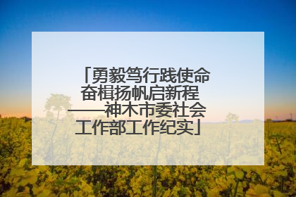 勇毅笃行践使命 奋楫扬帆启新程——神木市委社会工作部工作纪实