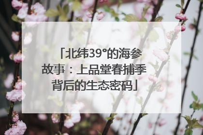 北纬39°的海参故事：上品堂春捕季背后的生态密码