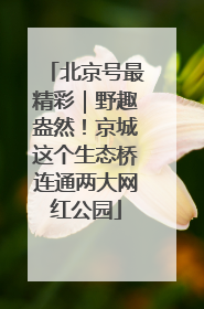 北京号最精彩｜野趣盎然！京城这个生态桥连通两大网红公园