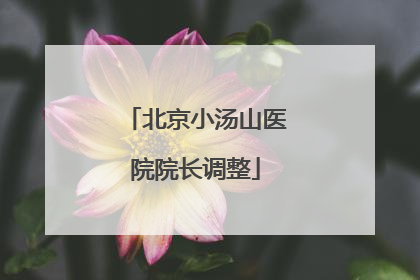 北京小汤山医院院长调整