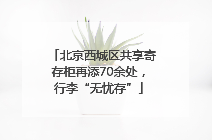 北京西城区共享寄存柜再添70余处，行李“无忧存”