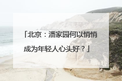 北京：潘家园何以悄悄成为年轻人心头好？