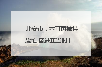 北安市：木耳菌棒挂袋忙 奋进正当时