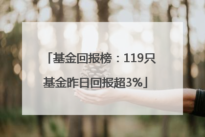 基金回报榜：119只基金昨日回报超3%