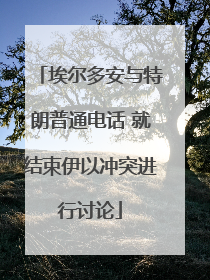 埃尔多安与特朗普通电话 就结束伊以冲突进行讨论