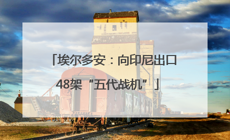 埃尔多安：向印尼出口48架“五代战机”