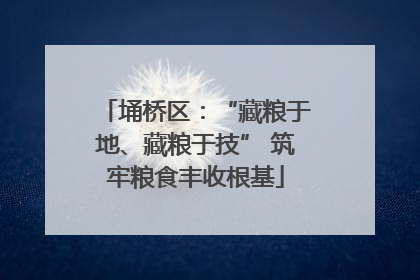 埇桥区：“藏粮于地、藏粮于技” 筑牢粮食丰收根基