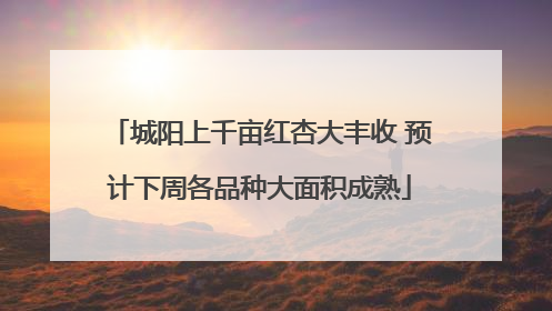 城阳上千亩红杏大丰收 预计下周各品种大面积成熟