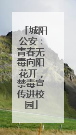 城阳公安：青春无毒向阳花开，禁毒宣传进校园