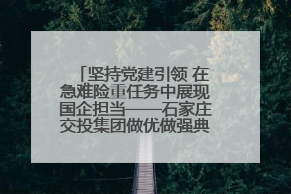 坚持党建引领 在急难险重任务中展现国企担当——石家庄交投集团做优做强典型报道之一