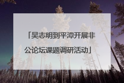 吴志明到平潭开展非公论坛课题调研活动
