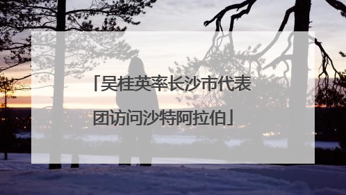 吴桂英率长沙市代表团访问沙特阿拉伯