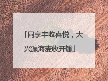 同享丰收喜悦，大兴瀛海麦收开镰