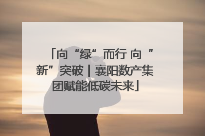 向“绿”而行 向“新”突破｜襄阳数产集团赋能低碳未来