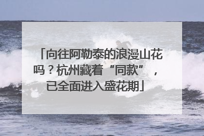 向往阿勒泰的浪漫山花吗？杭州藏着“同款”，已全面进入盛花期