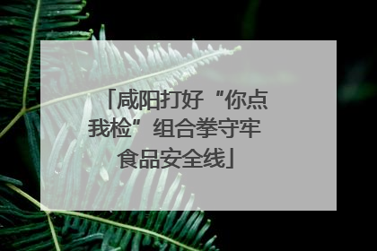 咸阳打好“你点我检”组合拳守牢食品安全线