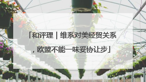 和评理｜维系对美经贸关系，欧盟不能一味妥协让步