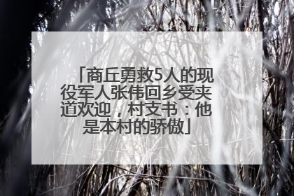 商丘勇救5人的现役军人张伟回乡受夹道欢迎，村支书：他是本村的骄傲