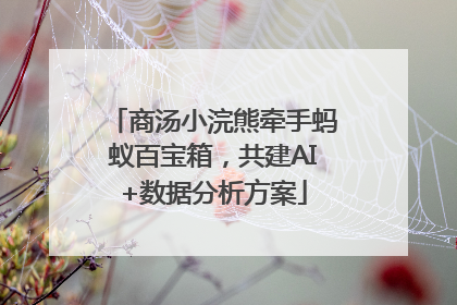 商汤小浣熊牵手蚂蚁百宝箱，共建AI+数据分析方案