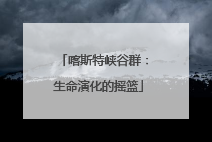 喀斯特峡谷群：生命演化的摇篮