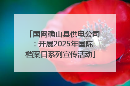国网确山县供电公司：开展2025年国际档案日系列宣传活动