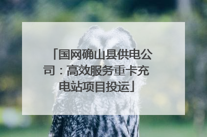 国网确山县供电公司：高效服务重卡充电站项目投运