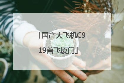 国产大飞机C919首飞厦门
