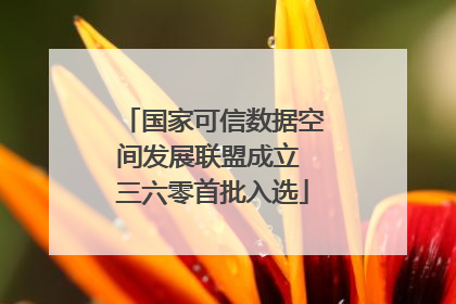 国家可信数据空间发展联盟成立 三六零首批入选