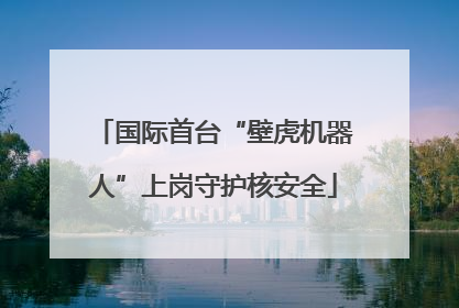 国际首台“壁虎机器人”上岗守护核安全