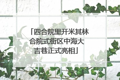 四合院里开米其林 合院式街区中海大吉巷正式亮相