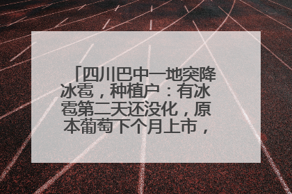四川巴中一地突降冰雹，种植户：有冰雹第二天还没化，原本葡萄下个月上市，现在全被打落