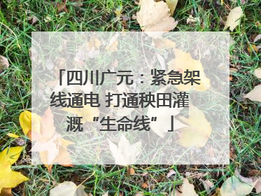 四川广元：紧急架线通电 打通秧田灌溉“生命线”