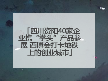 四川资阳40家企业携“拳头”产品参展 西博会打卡地铁上的创业城市
