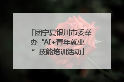 团宁夏银川市委举办“AI+青年就业”技能培训活动