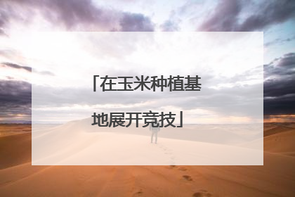 在玉米种植基地展开竞技