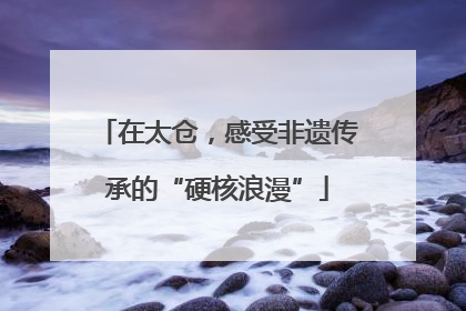 在太仓，感受非遗传承的“硬核浪漫”