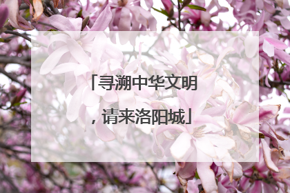 寻溯中华文明，请来洛阳城