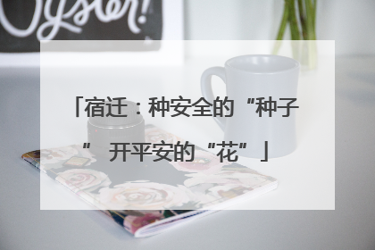宿迁：种安全的“种子” 开平安的“花”