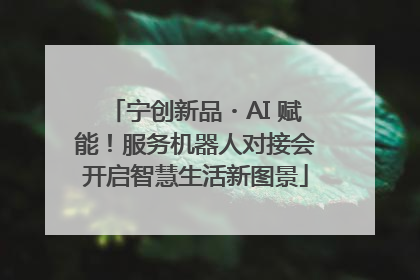 宁创新品・AI 赋能！服务机器人对接会开启智慧生活新图景