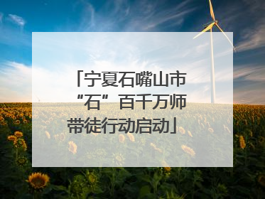 宁夏石嘴山市“石”百千万师带徒行动启动
