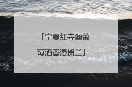 宁夏红寺堡葡萄酒香漫贺兰