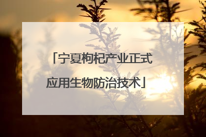 宁夏枸杞产业正式应用生物防治技术